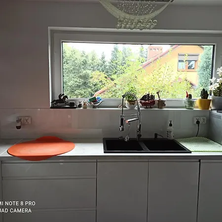 Dom Z Ogrodem Laka (Silesia)